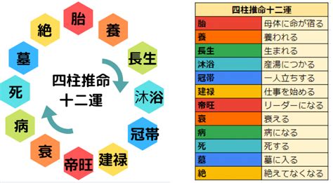 丁巳大運|丁巳（ひのとみ）はどんな年？生まれの性格や特徴を。